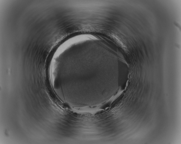 X0000095110488200801041203
