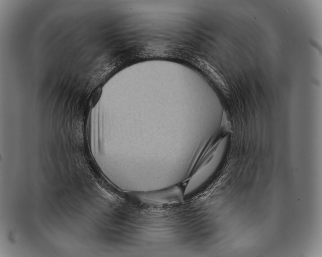 X0000095110489200801041203