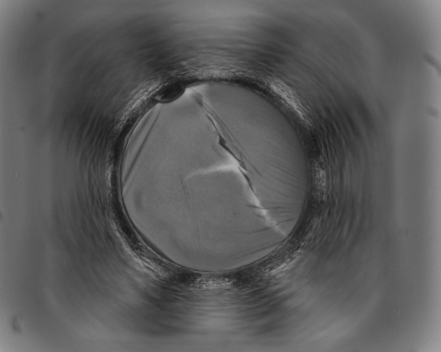 X0000095110491200801041203