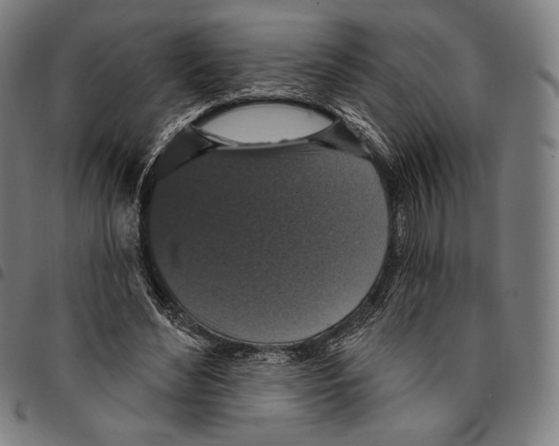 X0000095110492200801041203