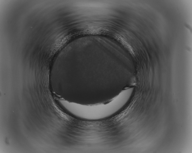X0000095110493200801041203