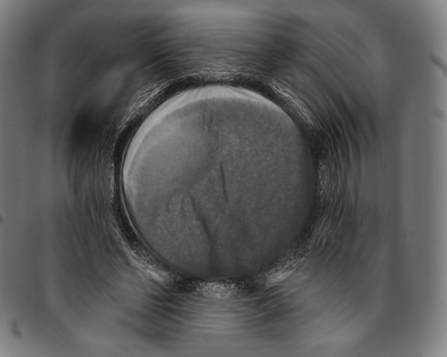 X0000095110494200801041203