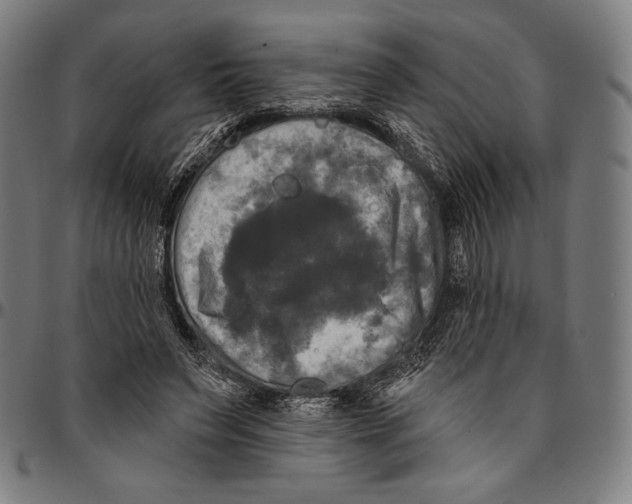 X0000095110495200801041203