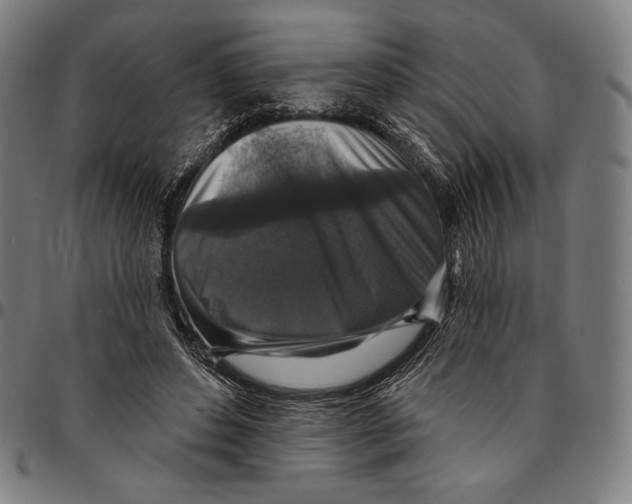 X0000095110496200801041203