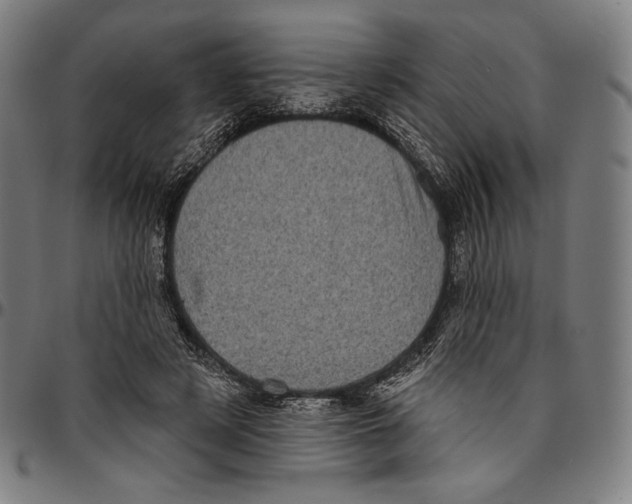 X0000095110497200801041203