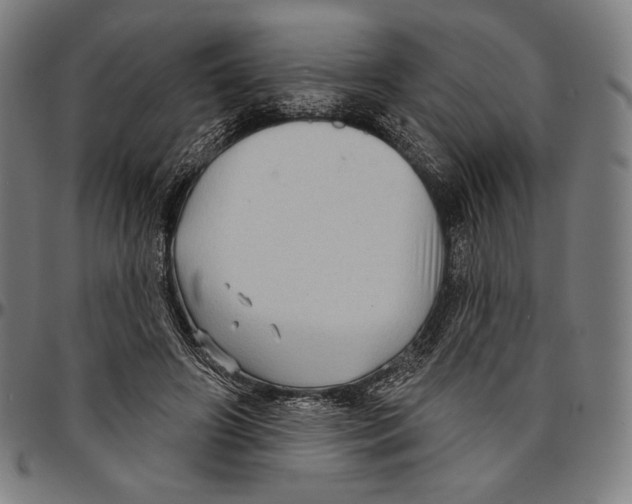 X0000095110498200801041203