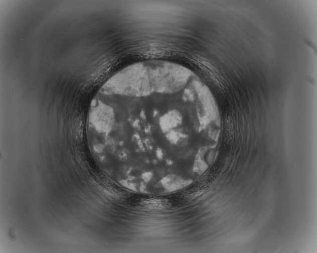 X0000095110499200801041203
