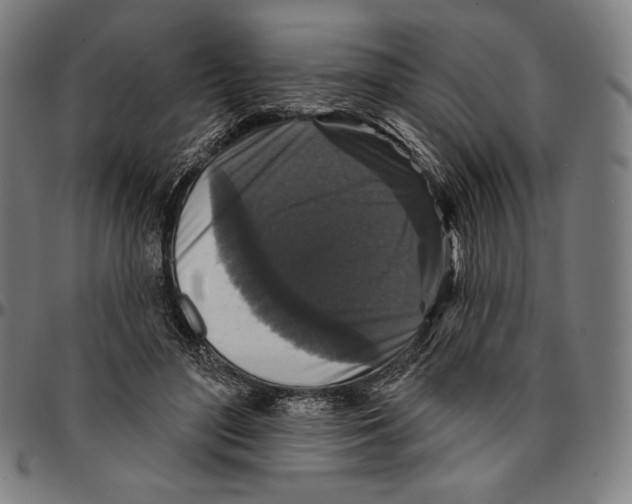 X0000095110500200801041203