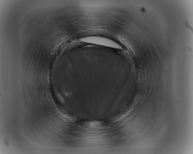 X0000095110501200801041203