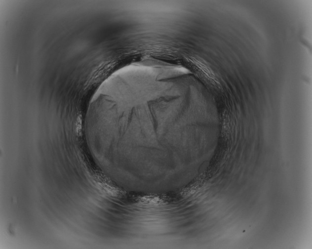 X0000095110502200801041203
