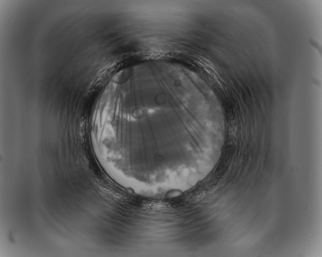 X0000095110503200801041203