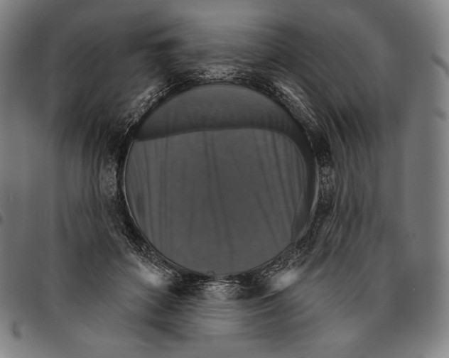 X0000095110504200801041203