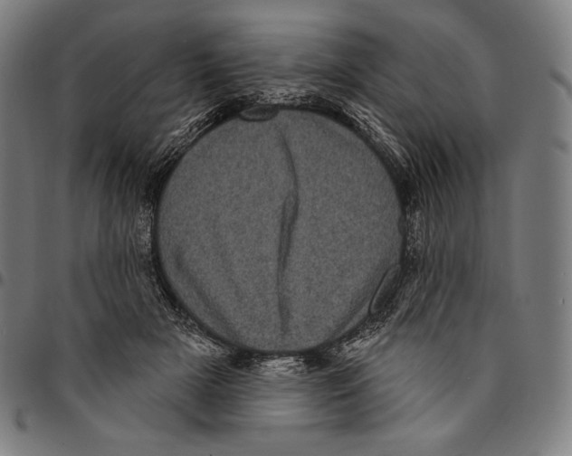 X0000095110505200801041203