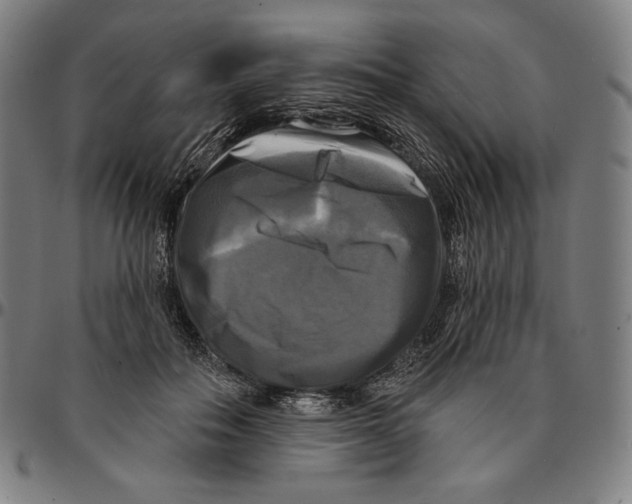 X0000095110506200801041203