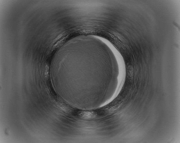 X0000095110507200801041203