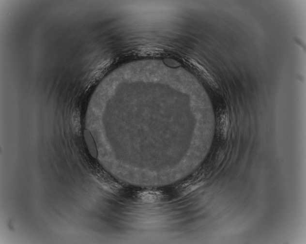 X0000095110508200801041203