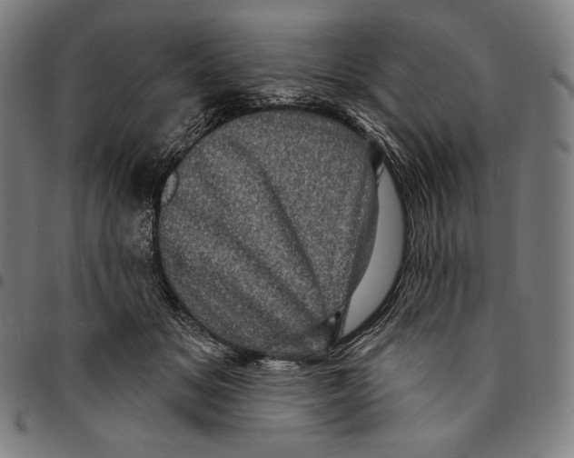 X0000095110509200801041203