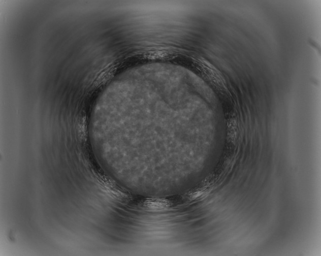 X0000095110510200801041203