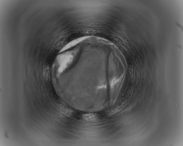 X0000095110511200801041203