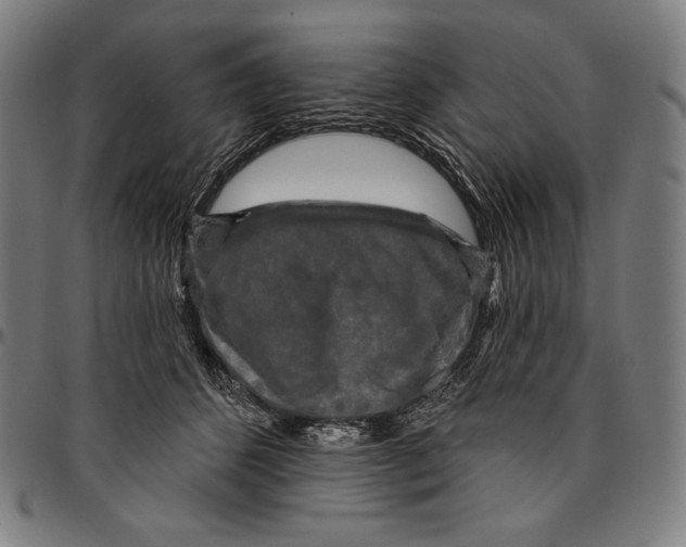 X0000095110512200801041203