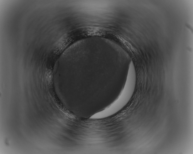 X0000095110513200801041203