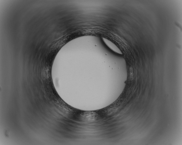 X0000095110514200801041203