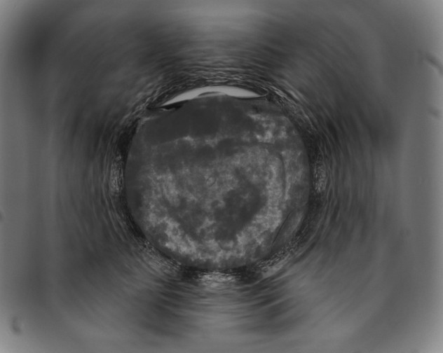 X0000095110515200801041203