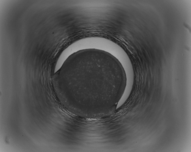 X0000095110516200801041203