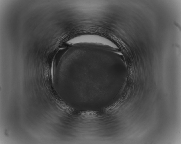 X0000095110517200801041203