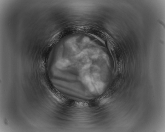 X0000095110520200801041203