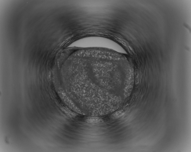 X0000095110521200801041203