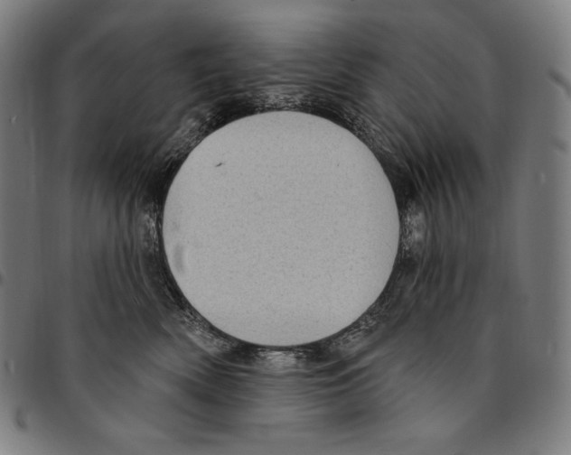 X0000095110522200801041203