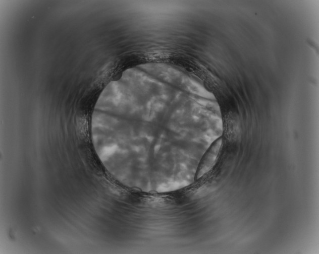 X0000095110523200801041203