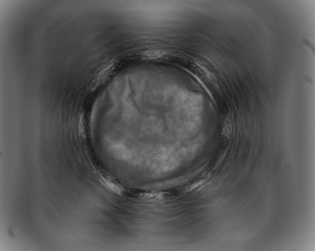 X0000095110524200801041203