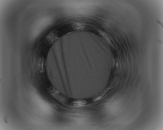 X0000095110525200801041203