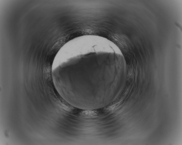 X0000095110526200801041203
