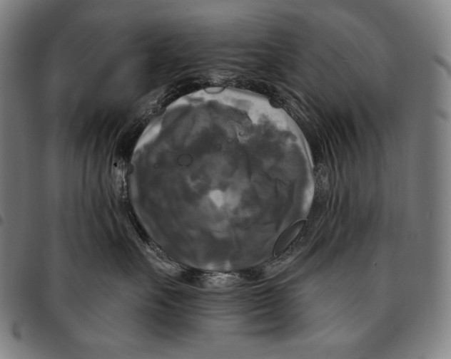 X0000095110527200801041203