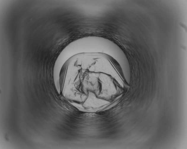 X0000095110528200801041203