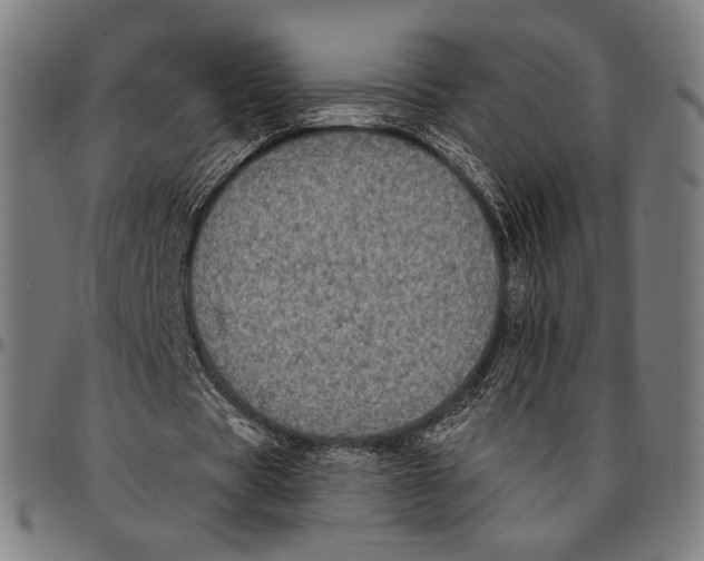 X0000095110529200801041202