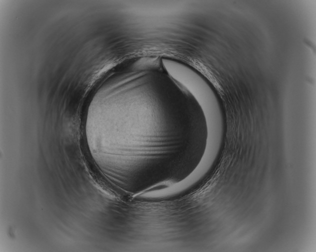 X0000095110530200801041202