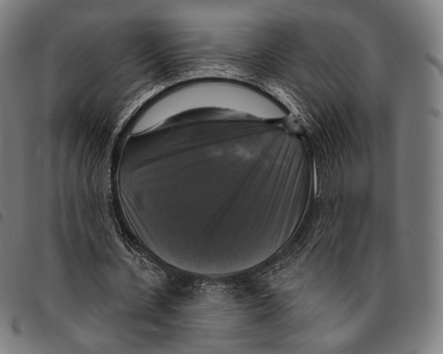 X0000095110531200801041202