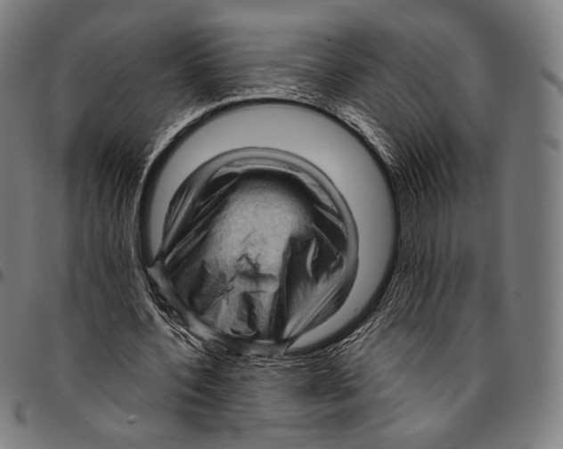 X0000095110532200801041202