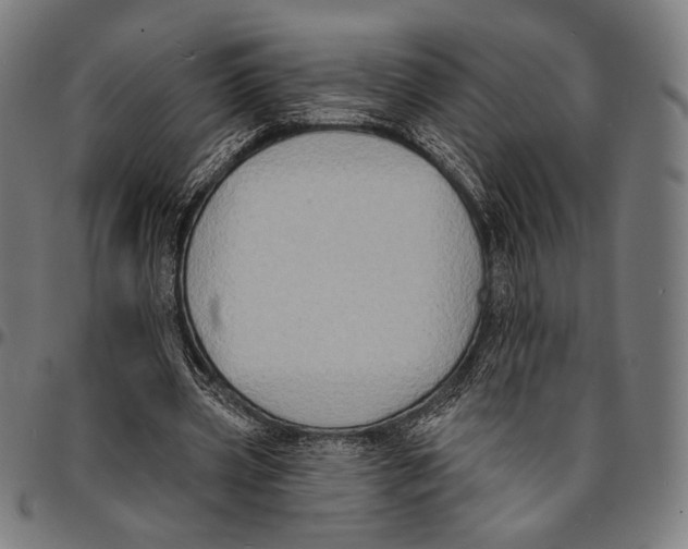X0000095110533200801041202