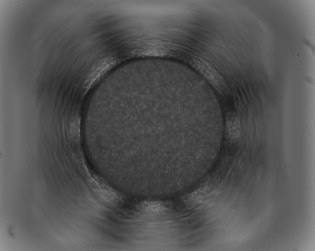 X0000095110534200801041202