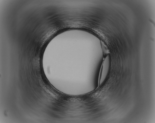 X0000095110535200801041202