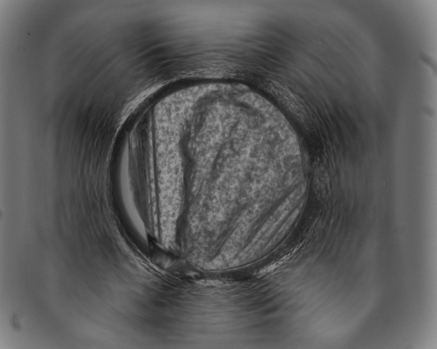 X0000095110536200801041202