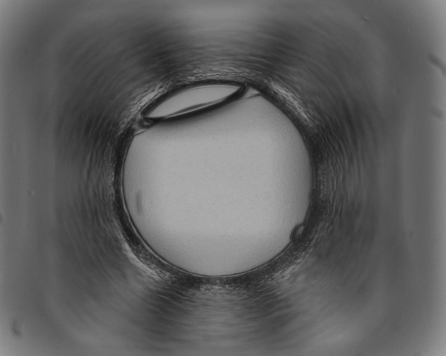 X0000095110538200801041202