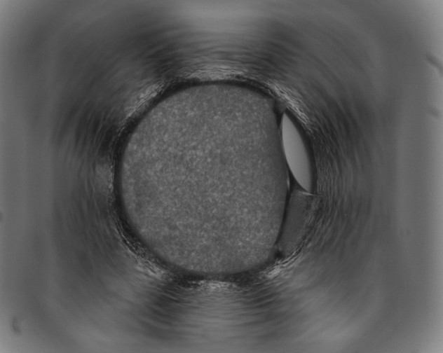 X0000095110539200801041202