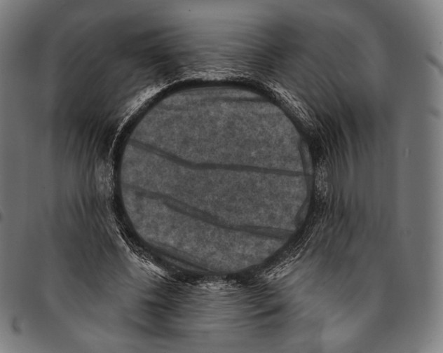 X0000095110540200801041202