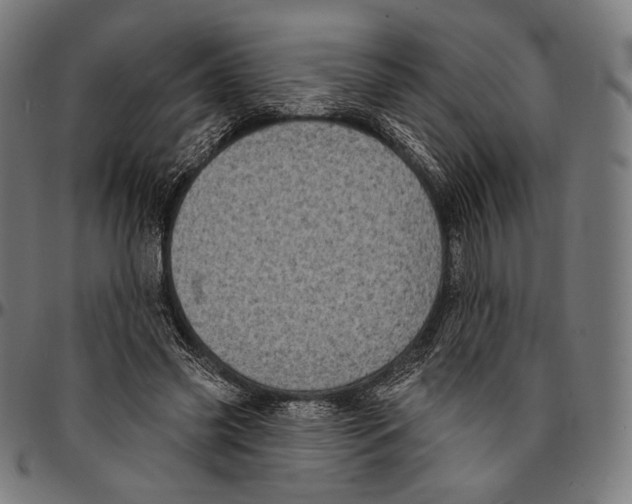 X0000095110541200801041202